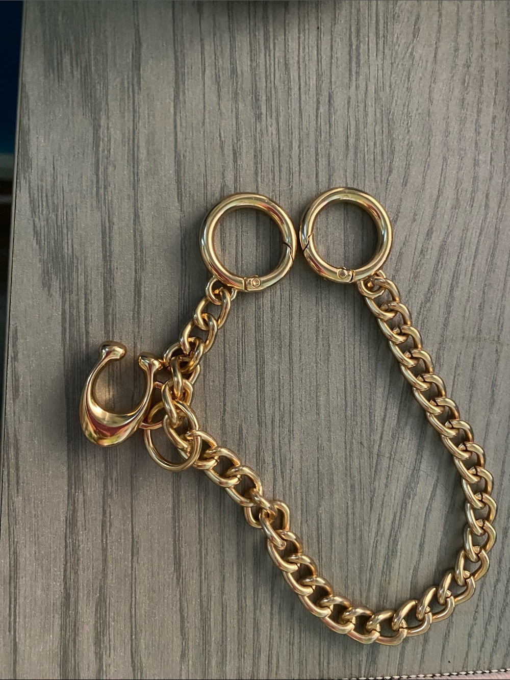 Coach Gold Bag Charm